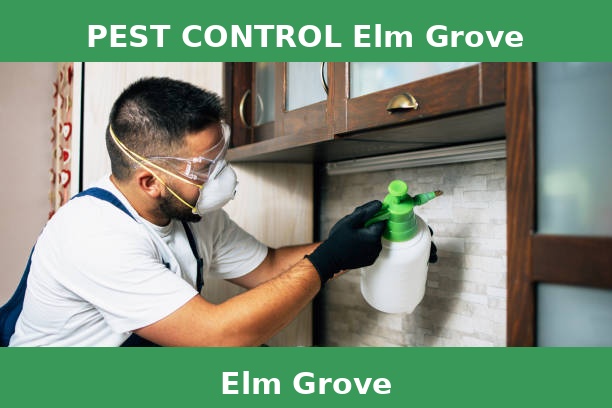 PEST CONTROL Elm Grove